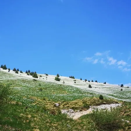 Kiara 7 *