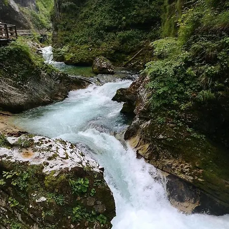 Kiara 7 * Jesenice