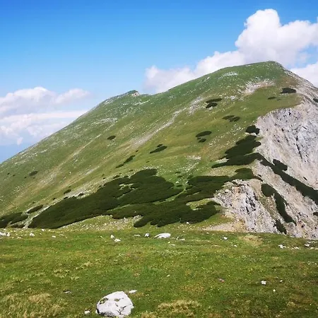 Kiara 7 *